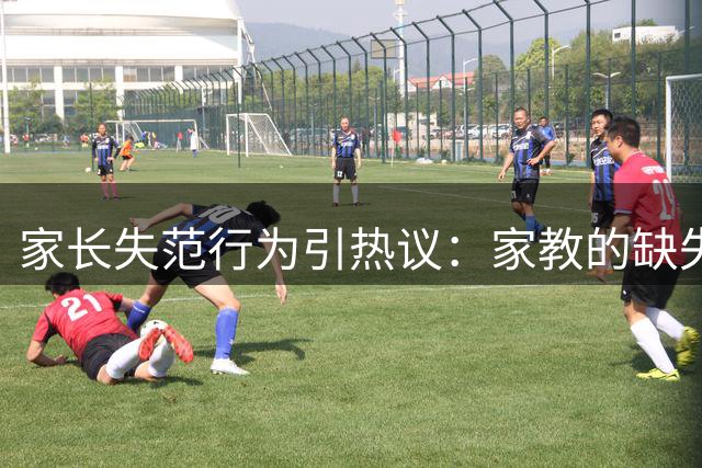 家长失范行为引热议：家教的缺失从何而来？